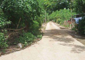 ထန္းတပင္ၿမိဳ႕နယ္အတြင္း ေက်းရြာမ်ားတြင္ လမ္းသစ္္ စီမံကိန္းမ်ား ကမၻာ့ဘဏ္၏ကူညီမႈျဖင့္စတင္္ေတာ့မည္